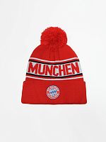  Bayern Munchen   